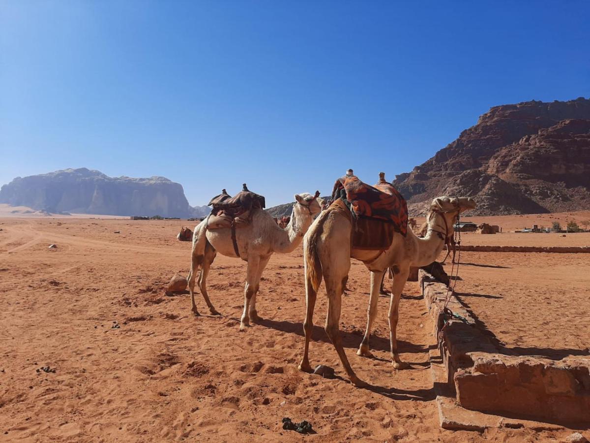 Wadi Rum Secrets Camp Zewnętrze zdjęcie